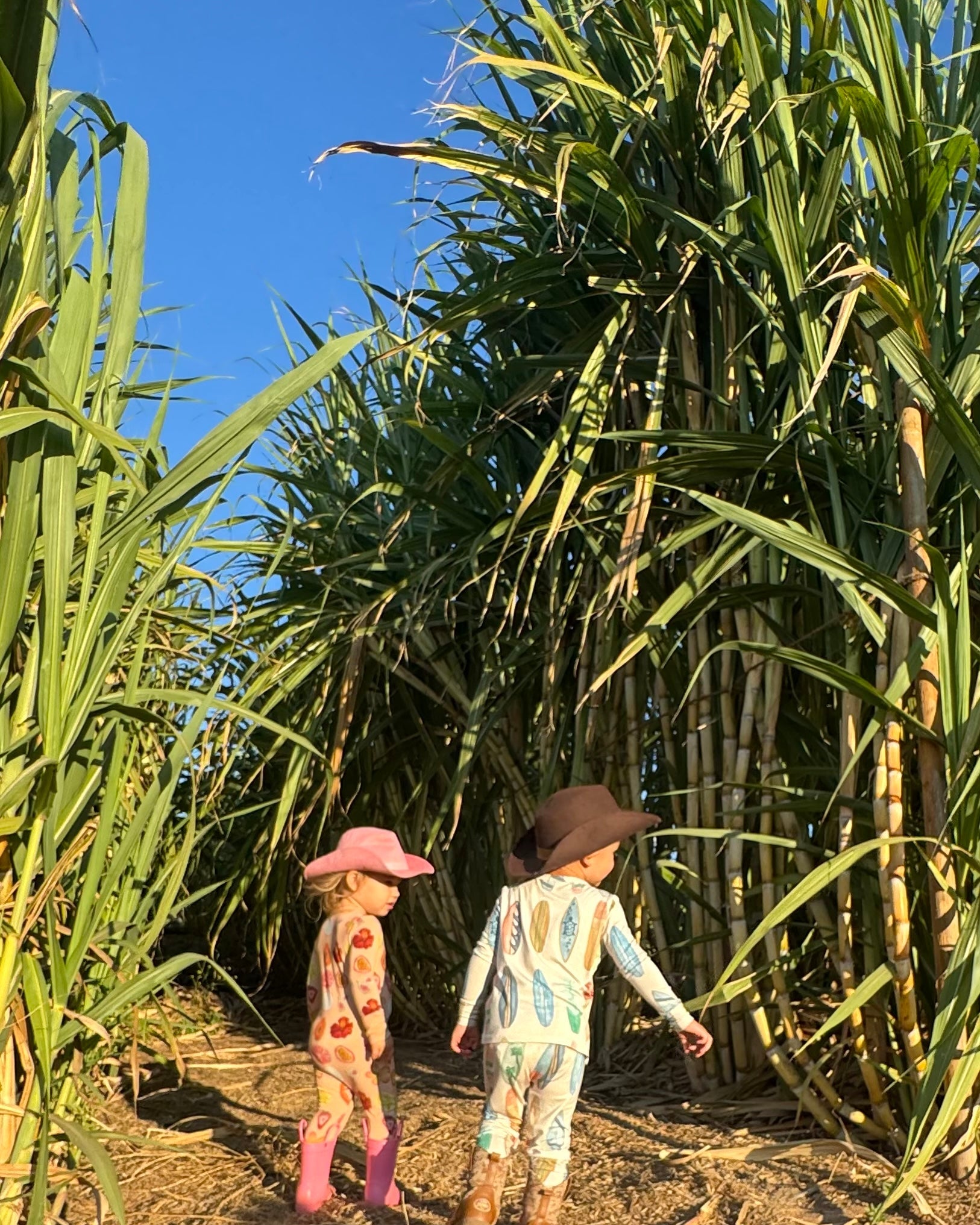 Two children walking through a field of tall green plants under a clear blue sky.